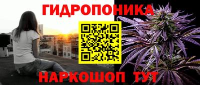 стафф Владивосток