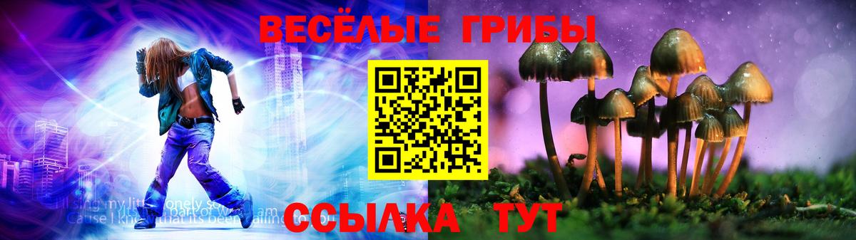 Псилоцибиновые грибы Psilocybine cubensis  Вход с VPN  Галлюциногенные грибы Psilocybine cubensis  Кировск 